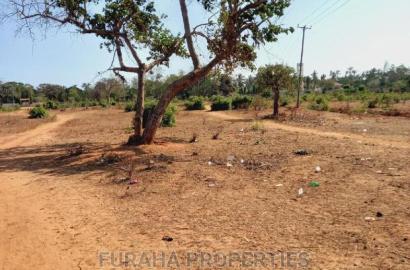 For Sale 4 Acre Land Mtapa