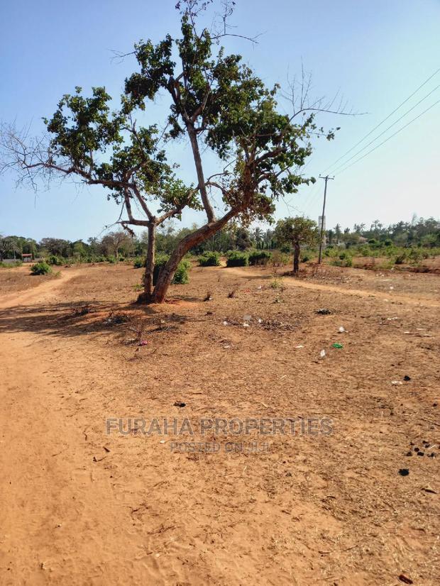 For Sale 4 Acre Land Mtapa