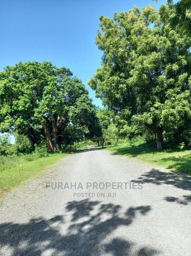 For Sale Quater/Half Acre Plots Mtwapa