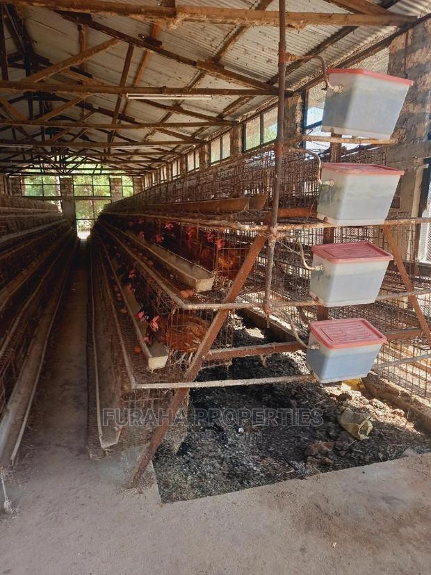 For Sale 3 Acres Poultry Farm Malindi.