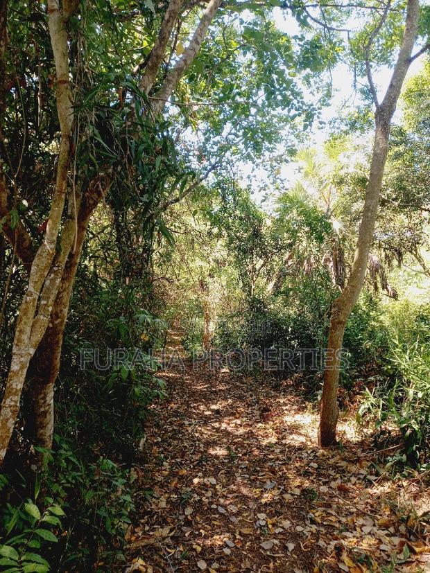 For Sale 8 Acres Creek and 4 BRMS Villa.