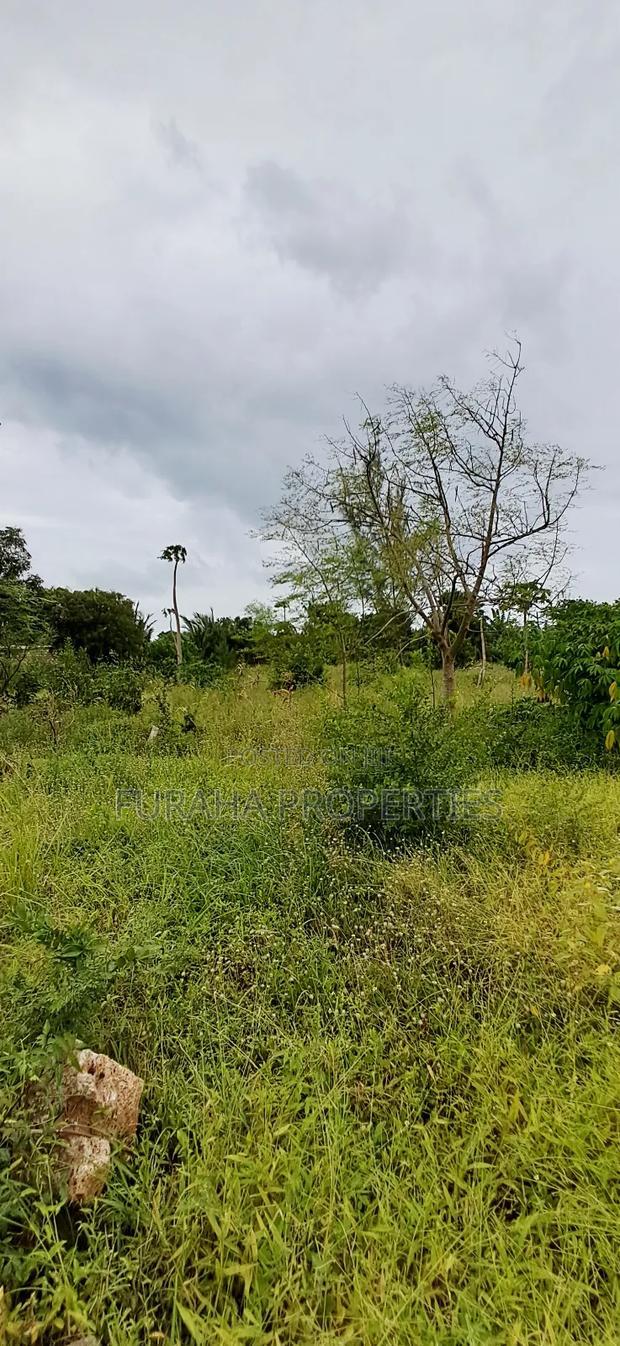 For Sale 4 Acre Prime Land Vipingo