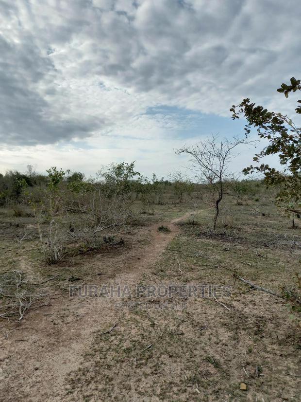 For Sale 100 Acre Ranch Kwale