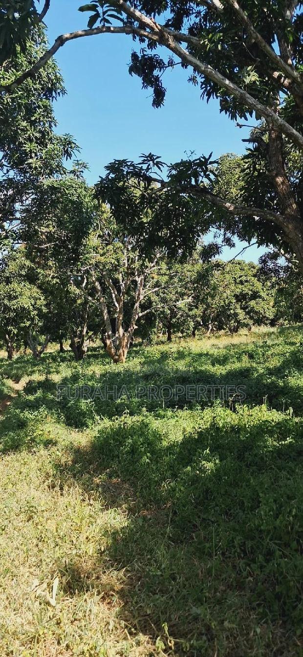 For Sale 10 Acres Agricultural Land