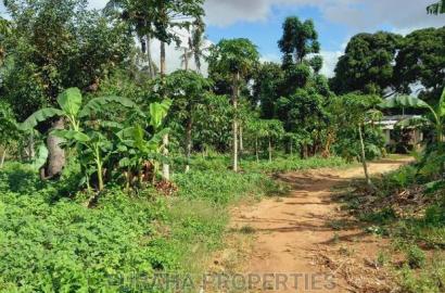 For Sale 2 Acre Land Ukunda