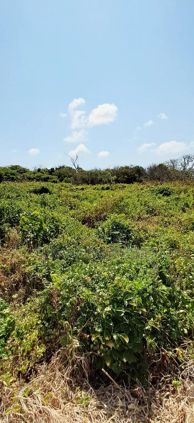 For Sale Quater Acre Beach Plots Vipingo