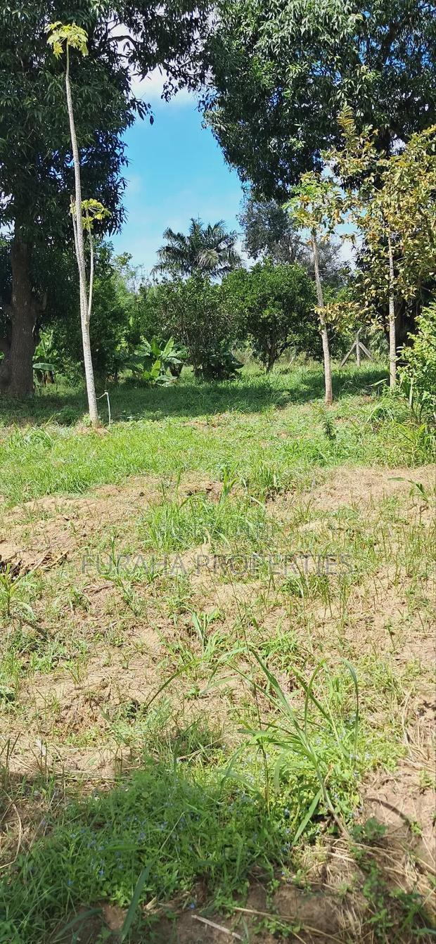 For Sale Quater Acre Plot Mtwapa.