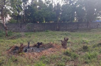 For Sale Half Acre Plots Nyali