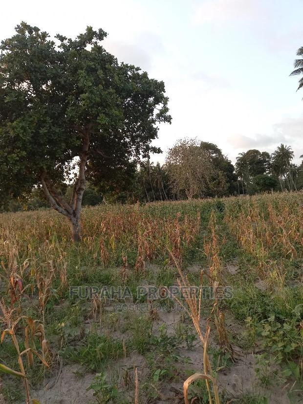 For Sale 12 Acre Agricultural Land Kikambala.