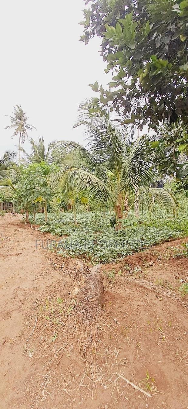For Sale 9.5 Acre Agricultural Land Vipingo