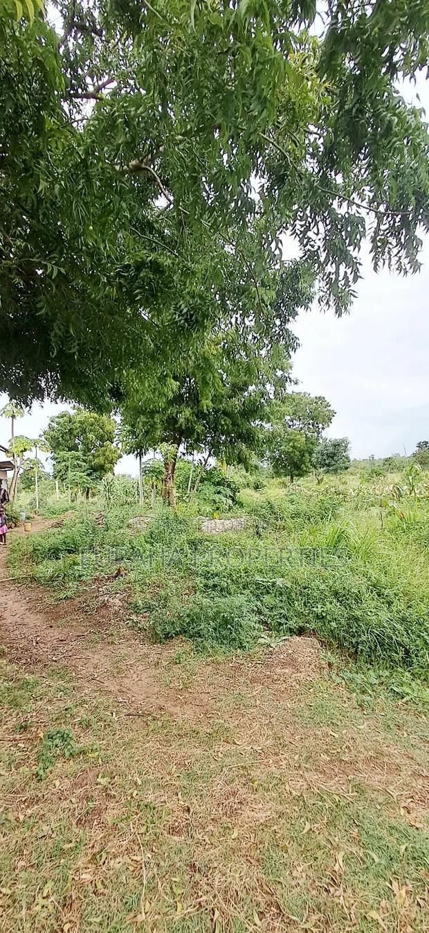 For Sale 4 Acre Prime Land Vipingo