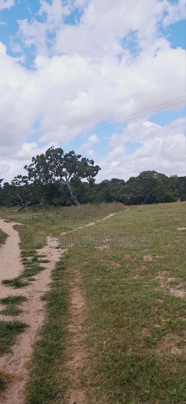 For Sale 1.1acre Land Dongo Kundu Bypass