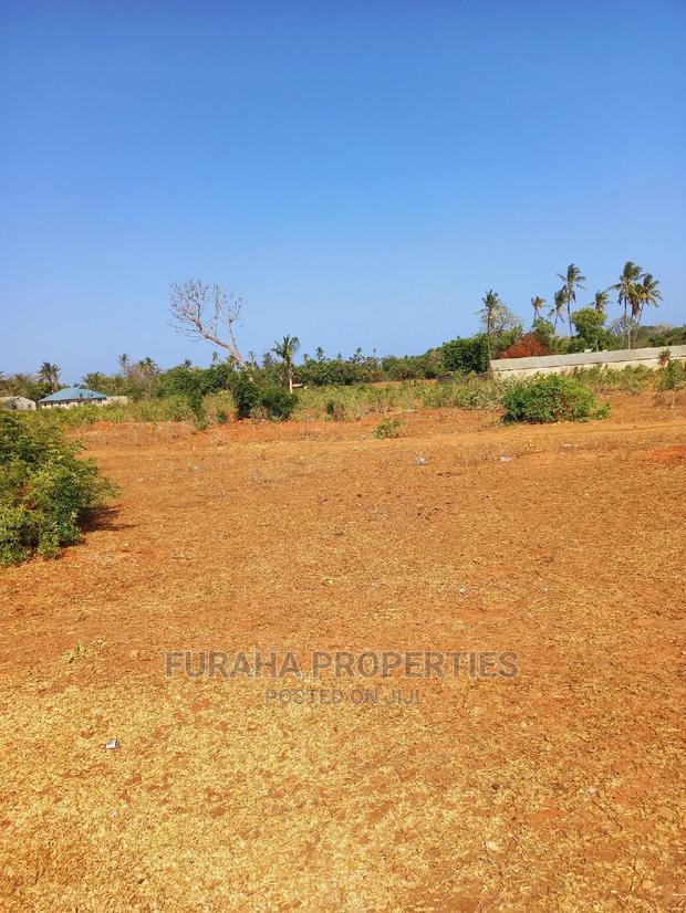 For Sale 4 Acre Land Mtapa