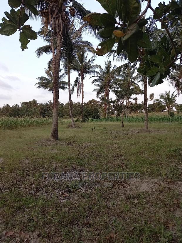 For Sale 12 Acre Agricultural Land Kikambala.