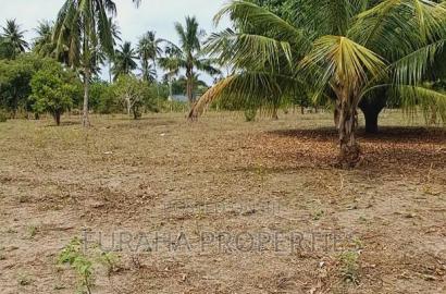 For Sale 2 Acres Land Msambweni