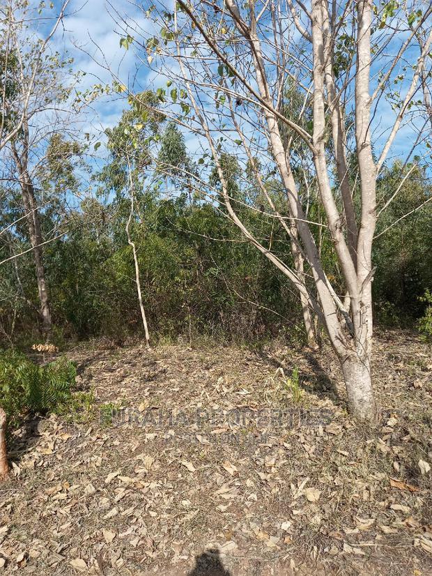 For Sale 1 Acre Commercial Land Vipingo