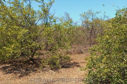 For Sale 100 Acres for Sale Kilifi.