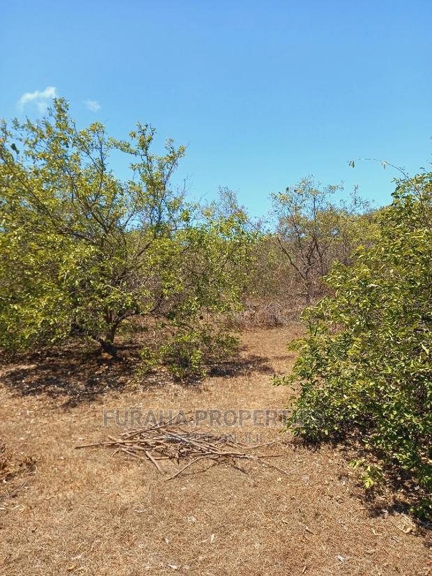 For Sale 100 Acres for Sale Kilifi.