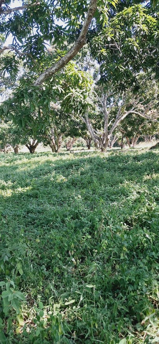 For Sale 10 Acres Agricultural Land