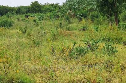 For Sale 4 Acre Prime Land Vipingo