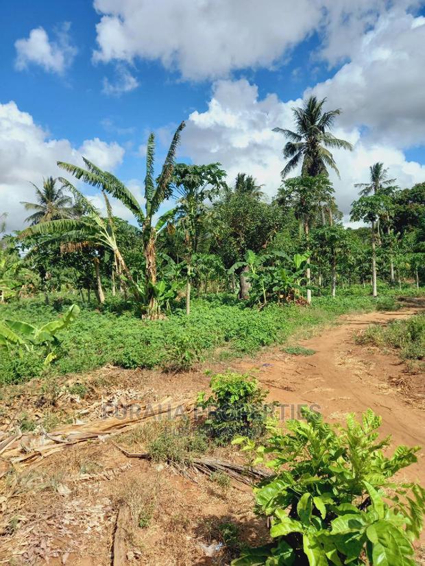 For Sale 2 Acre Land Ukunda