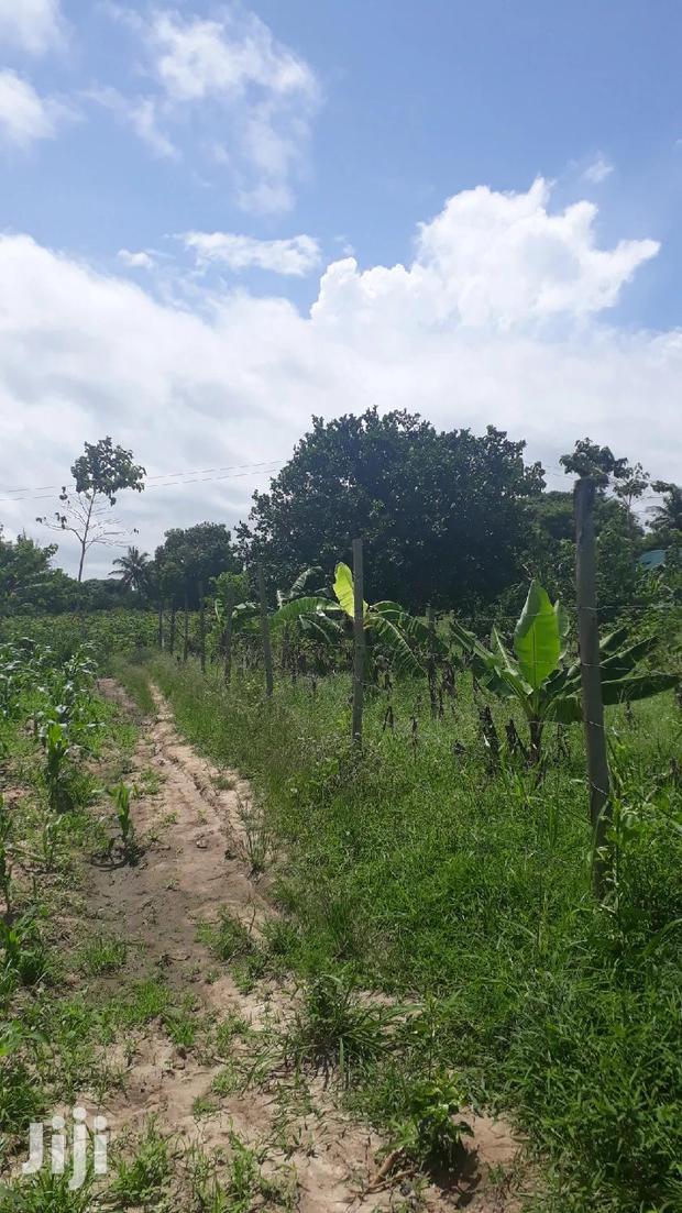 For Sale Quater Acres Plots Mtepeni Mtwapa