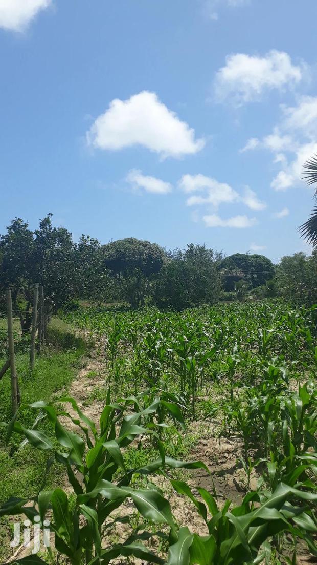 For Sale Quater Acres Plots Mtepeni Mtwapa