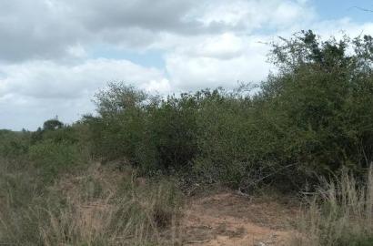 For Sale 170 Acres Agricultural Land Magarini