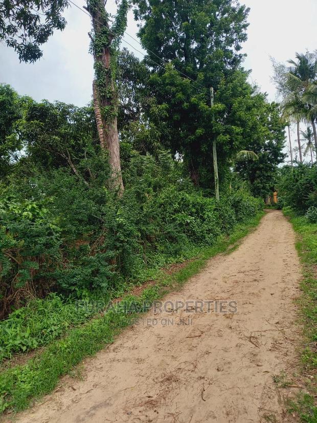 For Sale 4 Acre Agricultural Land Kikambala