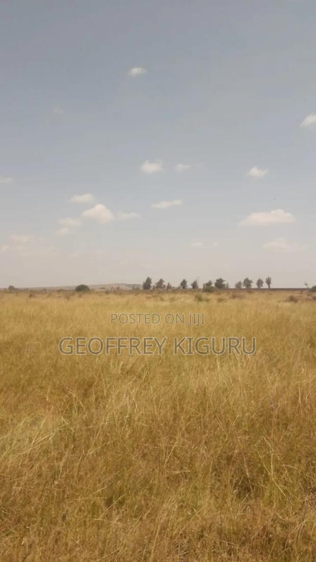 Affordable Quarter Acre Plots for Sale