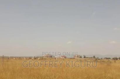 Affordable Quarter Acre Plots for Sale