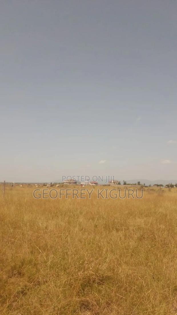 Affordable Quarter Acre Plots for Sale
