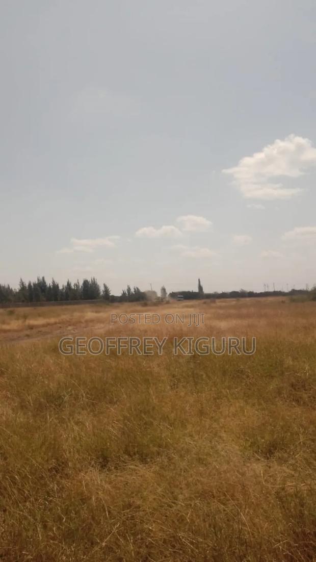 Affordable Quarter Acre Plots for Sale