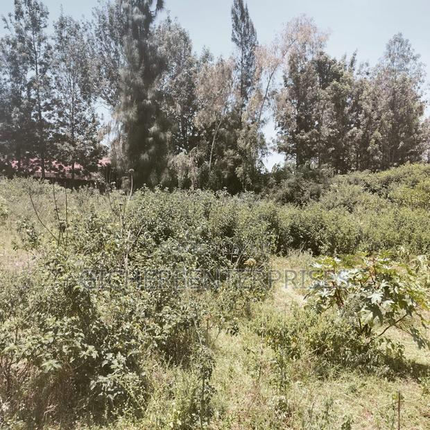 Nanyuki/Chuma
