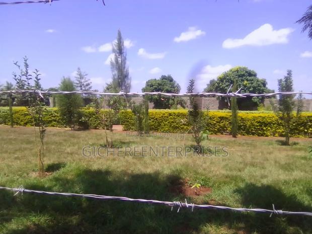 Murang'a Mirira