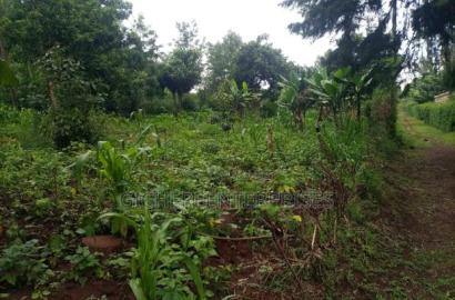 Kikuyu Plot