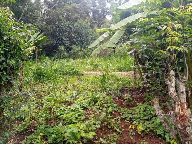 Kikuyu Plot