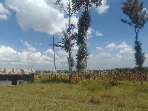 Kitengela,/Kisanju
