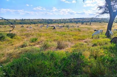 Kajiado Central