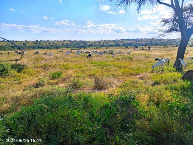 Kajiado Central