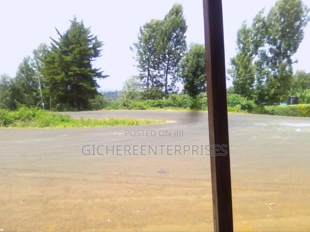 Nyeri Ngaini
