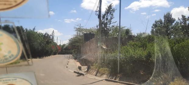Thika Ngoriba