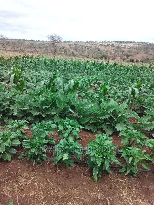 Loitokitok 10,20,42 Acres