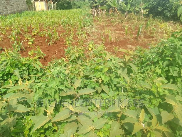 Kiambu Banana Road