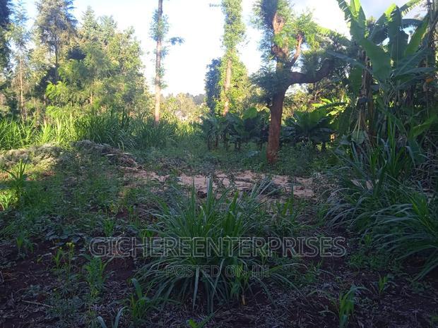 Thika Horticultural