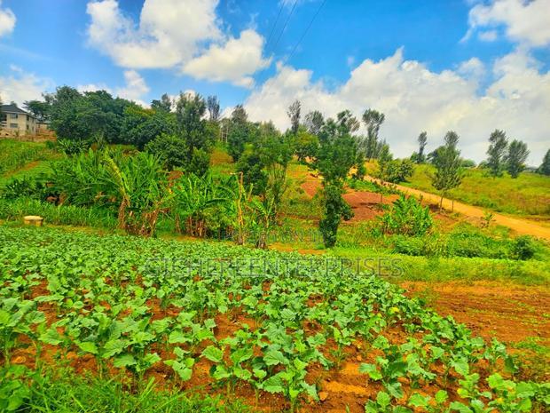 Kiambu Road