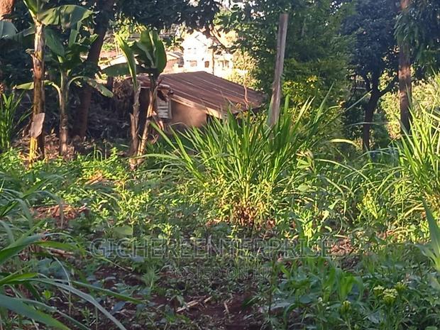 Thika Horticultural