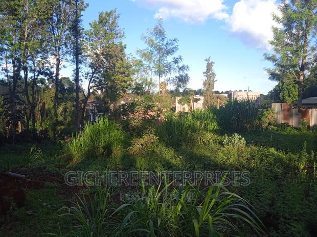 Thika Horticultural