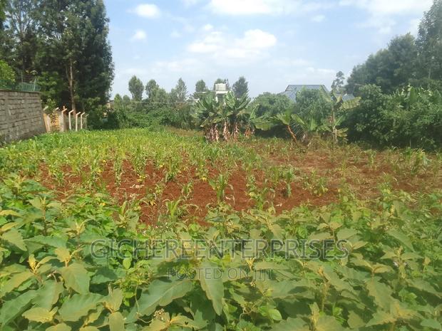 Kiambu Banana Road