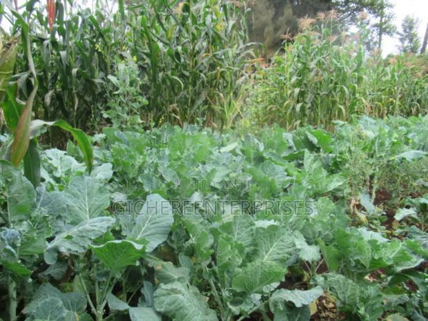 5bdrm Farm House in Redhills, Limuru for sale